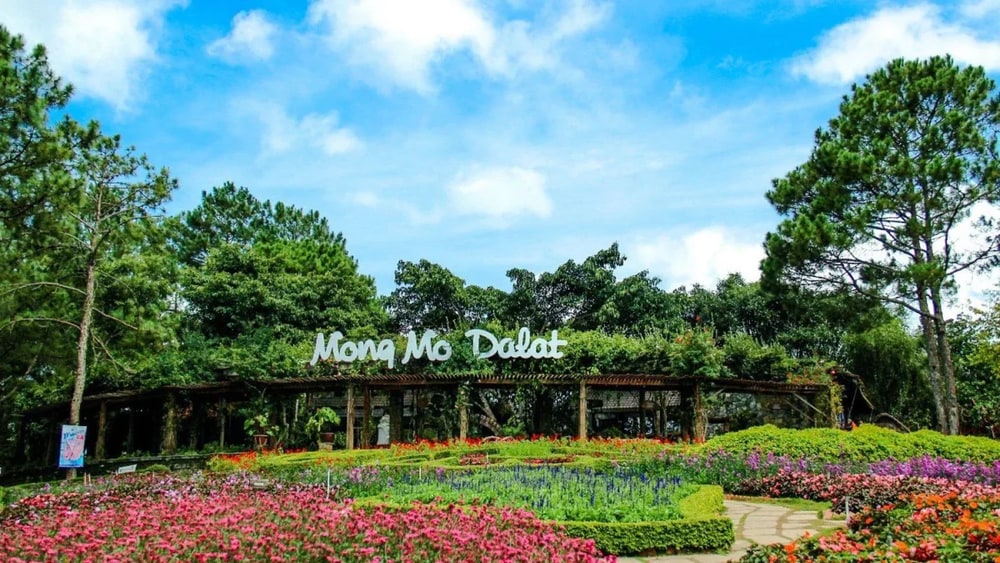 Vườn hoa Mộng Mơ khoác lên mình vẻ trữ tình xứ sở ngàn hoa